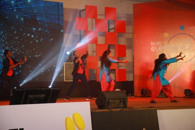 Indel Element image 6